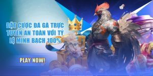 Đặt Cược Đá Gà Trực Tuyến An Toàn Với Tỷ Lệ Minh Bạch 100%